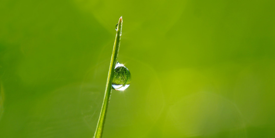 Banner 1