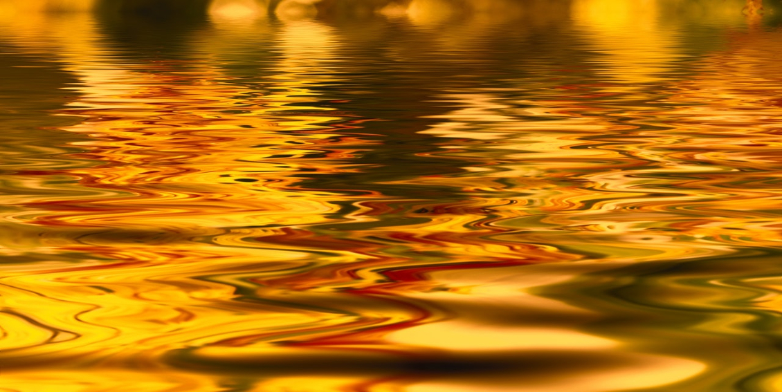Banner 2